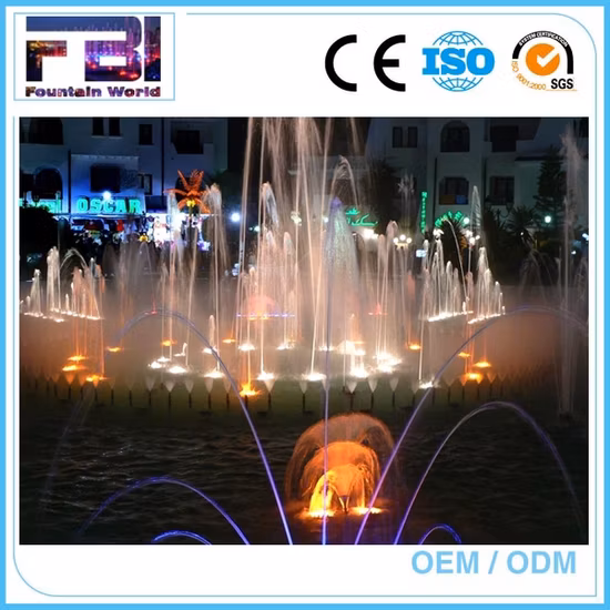 Fuente de agua de música programable de baile musical al aire libre de proveedor de fábrica